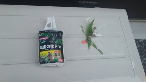 モスラ4