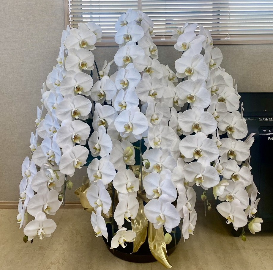 画像：事務所が華やかになりました